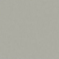 Бумага пастельная Murano Platinum 50x65 160гр