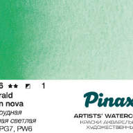 Акварель Pinax №246 Изумрудная Зеленая Светлая, кювета 2,5 мл