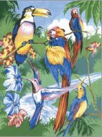 Раскраска по номерам ROYAL LANGNICKEL Средний уровень "Тропические птицы", 24.1х33 см., акрил