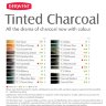 Набор цветных угольных каранашей Tinted Charcoal 24шт. в метал.коробке