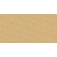 Бумага для пастели № 06 песочный Tiziano, артикул 52551006