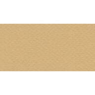 Бумага для пастели № 06 песочный Tiziano, артикул 52551006