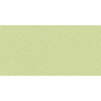 Бумага для пастели № 11 салатовый теплый Tiziano, артикул 52551011