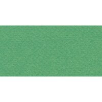 Бумага для пастели № 12 зеленый Tiziano, артикул 52551012