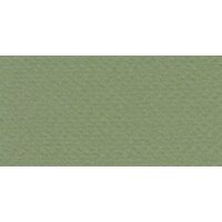 Бумага для пастели № 14 оливковый Tiziano, артикул 52551014