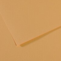 Бумага для пастели №340 конопляный Mi-Teintes, артикул 200321044