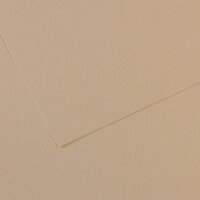 Бумага для пастели №343 серо-бежевый Mi-Teintes, артикул 200321054