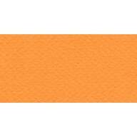 Бумага для пастели № 21 оранжевый Tiziano, артикул 52551021