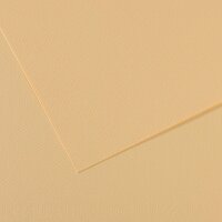 Бумага для пастели №407 кремовый Mi-Teintes, артикул 31032S104