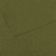 Бумага для пастели №448 плющ Mi-Teintes, артикул 31033S121
