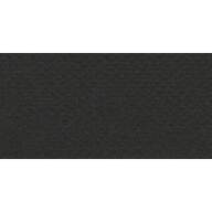 Бумага для пастели № 31 черный Tiziano, артикул 52551031