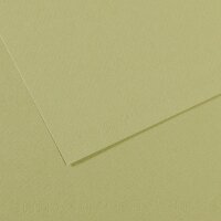 Бумага для пастели №480 светло-зеленый Mi-Teintes, артикул 31032S107
