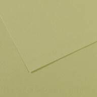 Бумага для пастели №480 светло-зеленый Mi-Teintes, артикул 31032S107