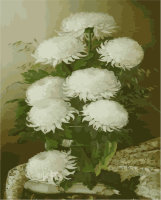Раскраска 40х50 см. MG1066 Белые Хризантемы
