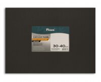 Холст 30х40 см на картоне, черный грунт, хлопок Пинакс, мелкозернистый, 280 гр/м2