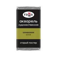 Акварель Оливковая Старый Мастер, артикул 200521520