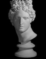 Гипс. Голова Аполлона Бельведерского, Экорше