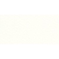 Бумага для пастели № 01 белый Tiziano, артикул 21297101