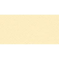 Бумага для пастели № 03 банановый Tiziano, артикул 21297103