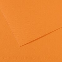 Бумага для пастели №384 лососевый, Mi-Teintes, 50х65 см, артикул 31032S102