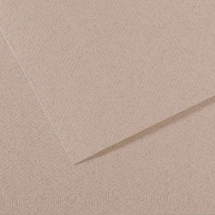 Бумага для пастели №426 серый лунный камень, Mi-Teintes, 50х65 см, артикул 31033S118