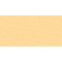 Бумага для пастели № 05 насыщ. кремовый Tiziano, артикул 21297105