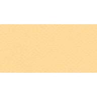 Бумага для пастели № 05 насыщ. кремовый Tiziano, артикул 21297105