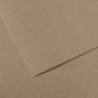 Бумага для пастели №431 серый стальной, Mi-Teintes, 50х65 см, артикул 31033S120