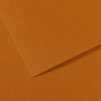 Бумага для пастели №502 коричневый гавана, Mi-Teintes, 50х65 см, артикул 31032S109