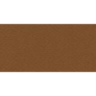 Бумага для пастели № 09 кофейный Tiziano, артикул 21297109