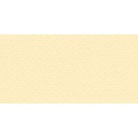 Бумага для пастели № 03 банановый Tiziano, артикул 52811003