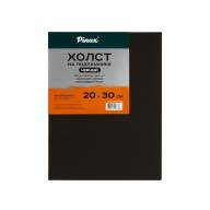 Холст на подрамнике 20х30 см, хлопок Пинакс, черный грунт, мелкозернистый, 380 гр/м2