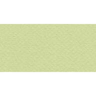 Бумага для пастели № 11 салатовый теплый Tiziano, артикул 52811011