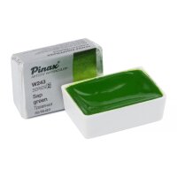 Акварель Травяная Зеленая № 243 Pinax Artist's в кювете 2,5 мл