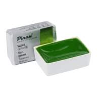 Акварель Травяная Зеленая № 243 Pinax Artist's в кювете 2,5 мл