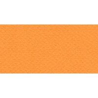 Бумага для пастели № 21 оранжевый Tiziano, артикул 52811021