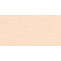 Бумага для пастели № 25 розовый Tiziano, артикул 52811025