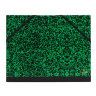Папка CARTON A DESSIN STUDIO CANSON® 2 эластичные резинки, 32х45см Цвет зеленый