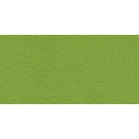 Бумага для пастели № 43 фисташковый Tiziano, артикул 21297143