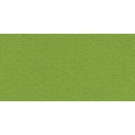 Бумага для пастели № 43 фисташковый Tiziano, артикул 21297143