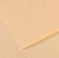 Бумага для пастели №111 слоновая кость, Mi-Teintes, А4 (210х297 мм), артикул 31032S007