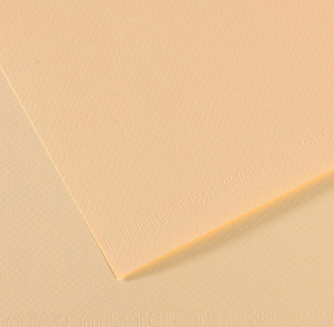 Бумага для пастели №111 слоновая кость, Mi-Teintes, А4 (210х297 мм), артикул 31032S007