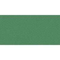 Бумага для пастели № 37 зеленый темный Tiziano, артикул 52811037