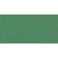 Бумага для пастели № 37 зеленый темный Tiziano, артикул 52811037