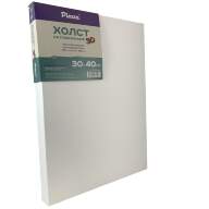 Холст на подрамнике 30х40 см 3D, хлопок Пинакс, мелкозернистый, 380 гр/м2, артикул 30.3040