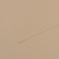 Бумага для пастели №343 серо-бежевый, Mi-Teintes, А4 (210х297 мм), артикул 31032S014