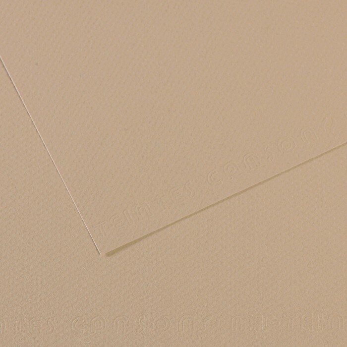 Бумага для пастели №343 серо-бежевый, Mi-Teintes, А4 (210х297 мм), артикул 31032S014