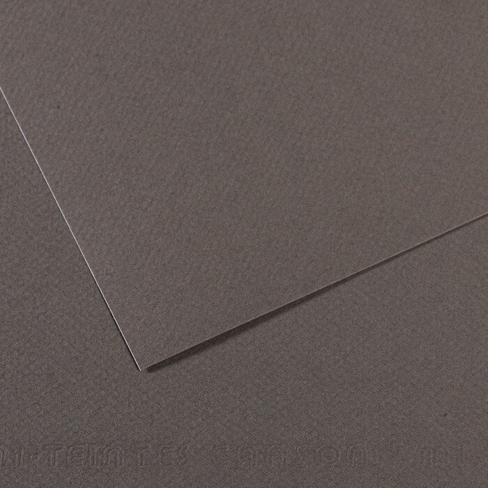 Бумага для пастели №345 серый темный, Mi-Teintes, А4 (210х297 мм), артикул 31032S015