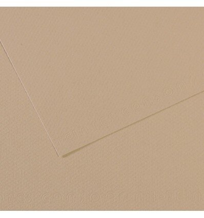 Бумага для пастели №407 кремовый, Mi-Teintes, А4 (210х297 мм), артикул 31032S019